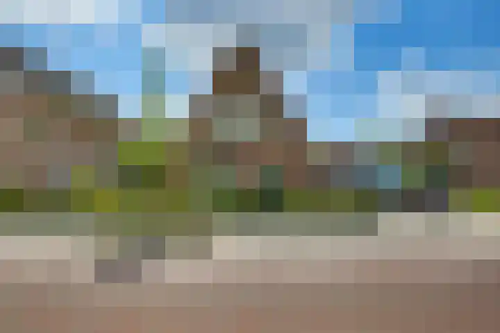 Larenseweg 7 Lochem thumbnail 5