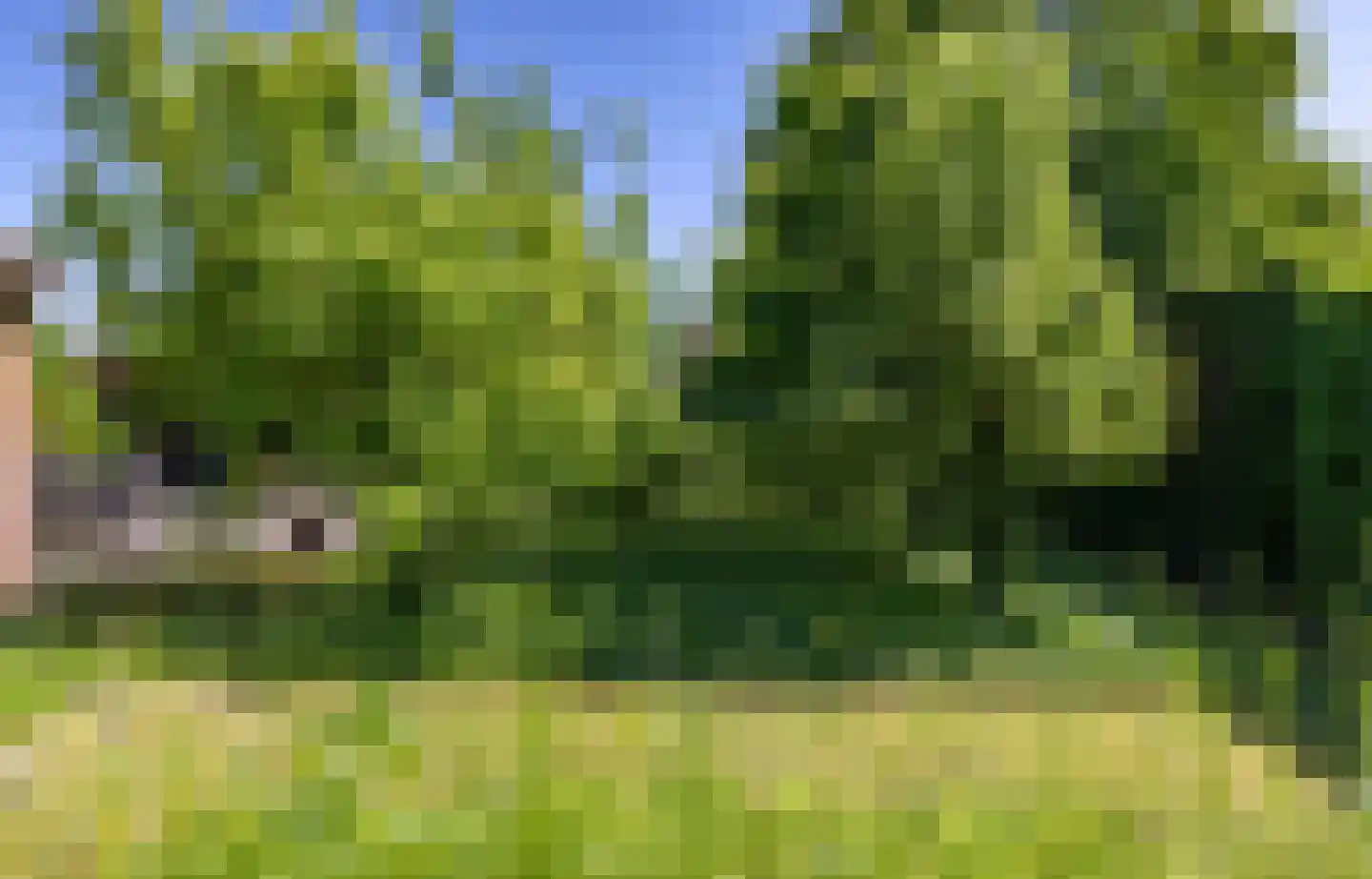 Larenseweg 76 Holten thumbnail 22