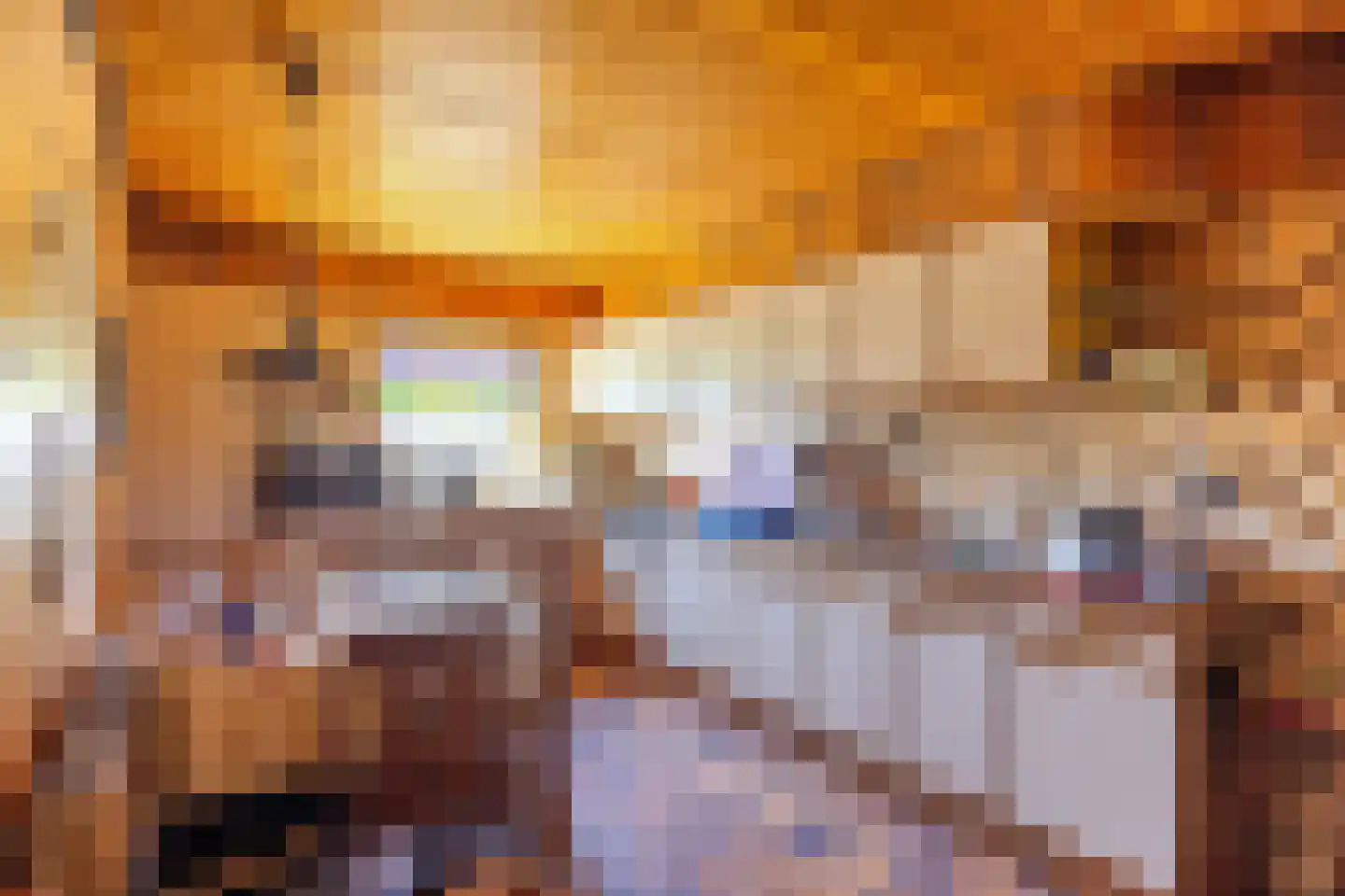 Larenseweg 76 Holten thumbnail 9
