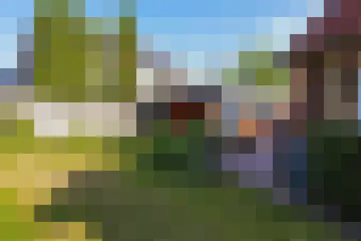 Larenseweg 87 Holten thumbnail 37