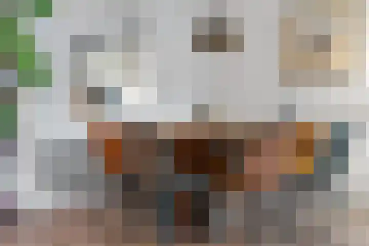 Larensteinselaan 37 Velp thumbnail 10