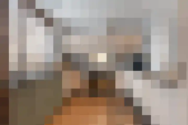 Larensteinselaan 37 Velp thumbnail 14