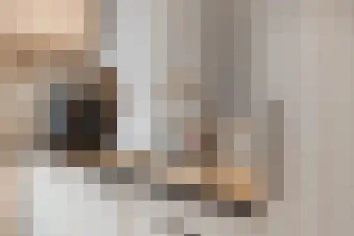 Larensteinselaan 37 Velp thumbnail 15