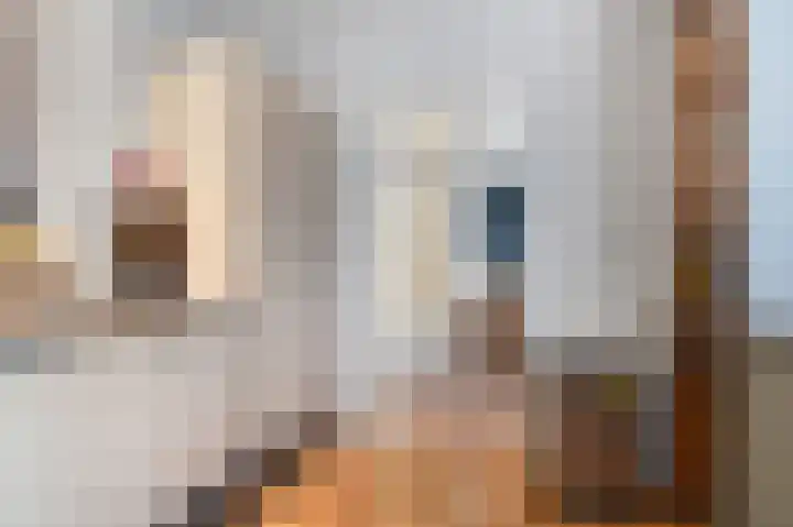 Larensteinselaan 37 Velp thumbnail 16