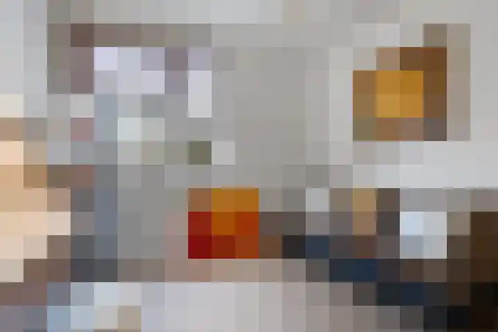 Larensteinselaan 37 Velp thumbnail 20