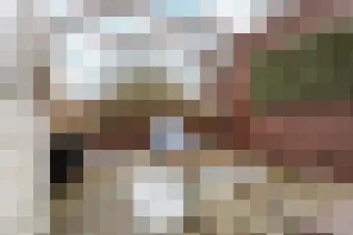 Larensteinselaan 37 Velp thumbnail 22