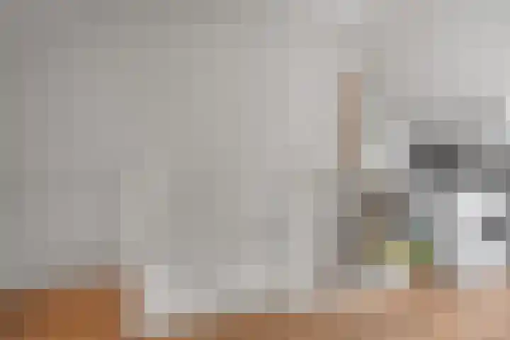 Larensteinselaan 37 Velp thumbnail 26