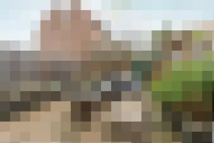 Larensteinselaan 37 Velp thumbnail 29