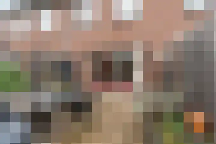Larensteinselaan 37 Velp thumbnail 30