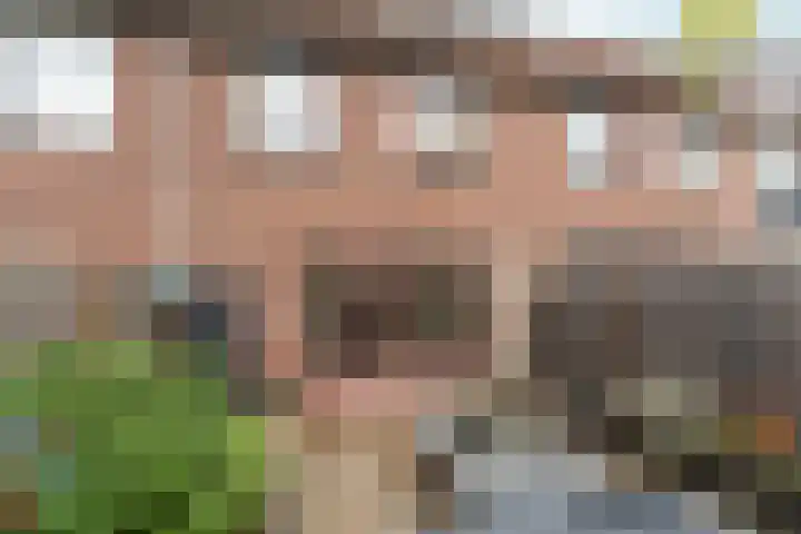 Larensteinselaan 37 Velp thumbnail 31