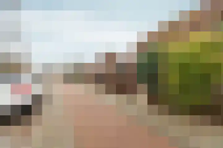 Larensteinselaan 37 Velp thumbnail 32
