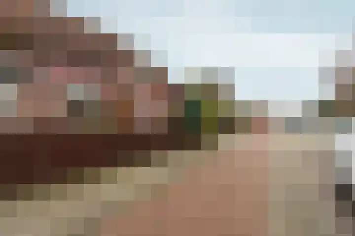 Larensteinselaan 37 Velp thumbnail 33