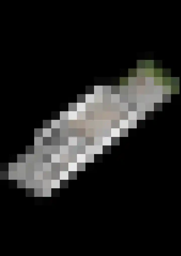 Larensteinselaan 37 Velp thumbnail 40