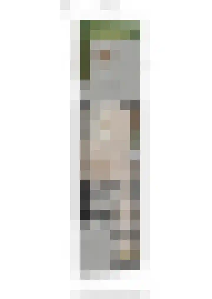 Larensteinselaan 37 Velp thumbnail 41