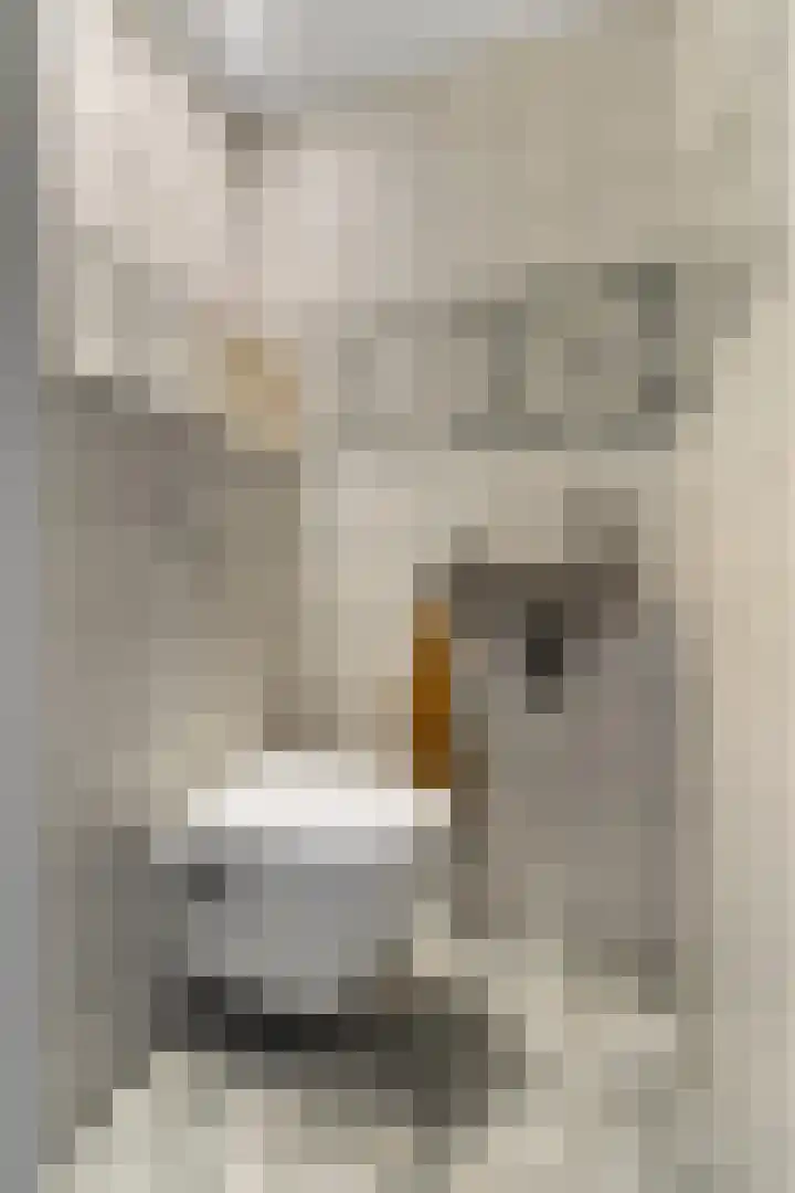 Larensteinselaan 37 Velp thumbnail 5