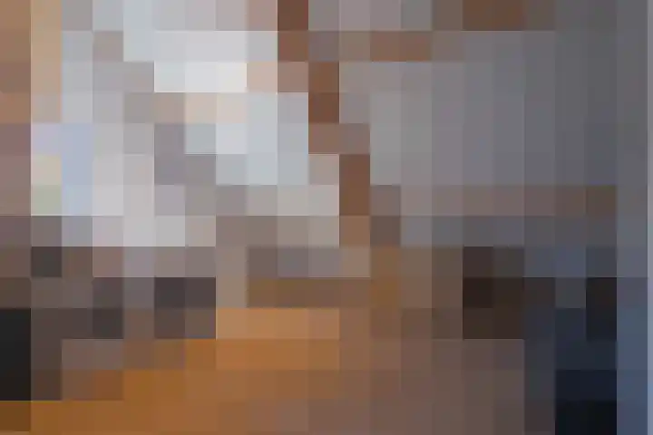 Largostraat 16 Maastricht thumbnail 16