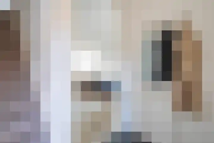 Largostraat 16 Maastricht thumbnail 9