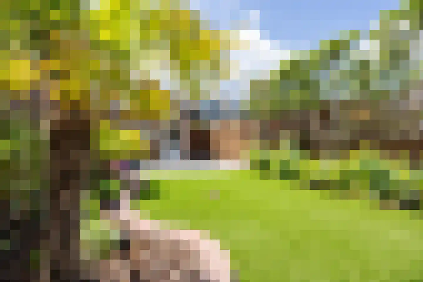 Largostraat 22 Hellevoetsluis thumbnail 33