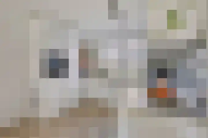 Largostraat 22 Maastricht thumbnail 11