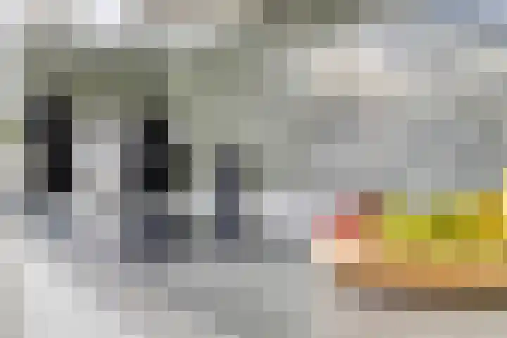Largostraat 22 Maastricht thumbnail 12