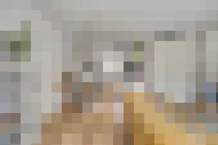 Largostraat 22 Maastricht thumbnail 17