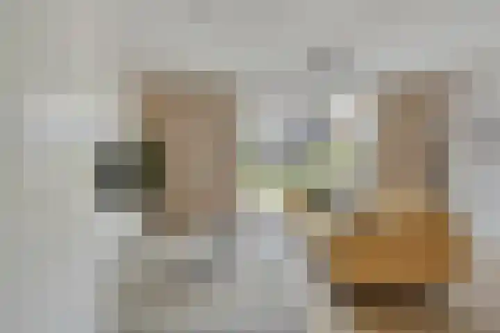Largostraat 22 Maastricht thumbnail 18