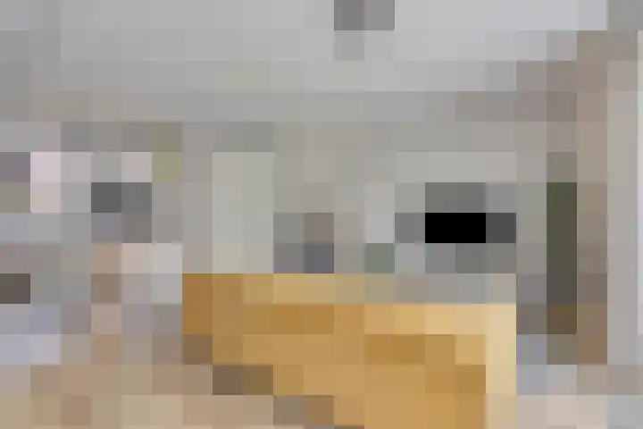 Largostraat 22 Maastricht thumbnail 19