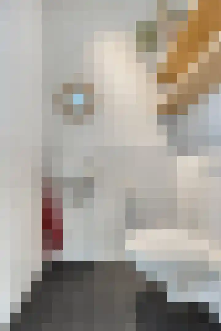 Largostraat 22 Maastricht thumbnail 7