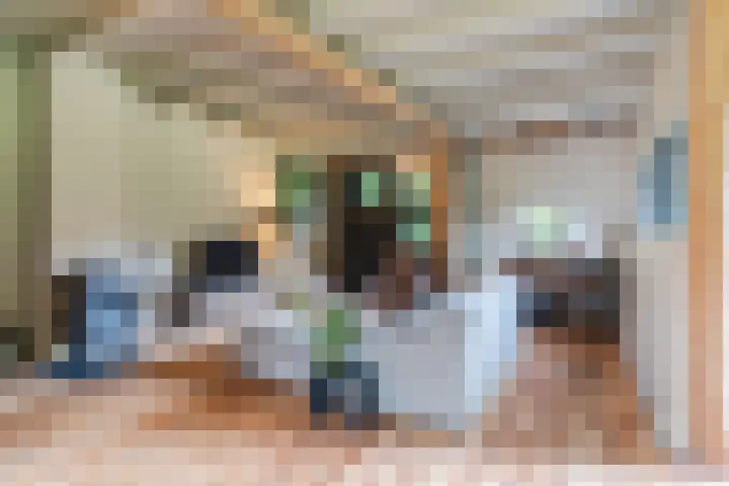 Lariestraat 17 Heeswijk-Dinther thumbnail 10
