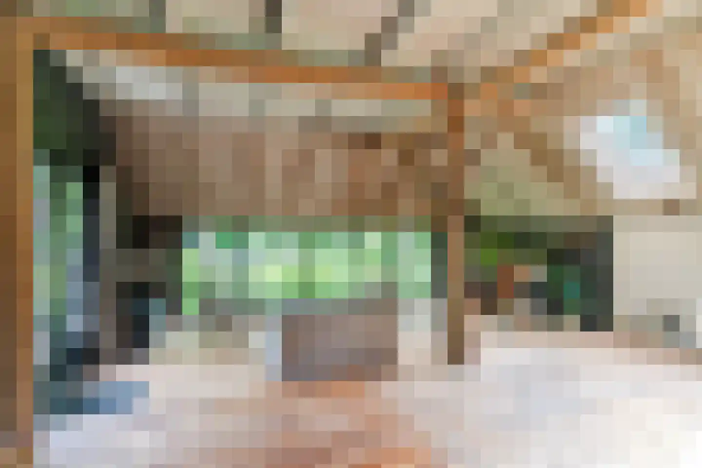Lariestraat 17 Heeswijk-Dinther thumbnail 11