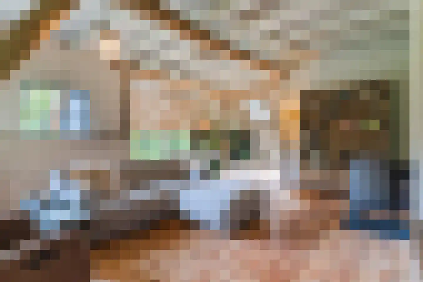Lariestraat 17 Heeswijk-Dinther thumbnail 12