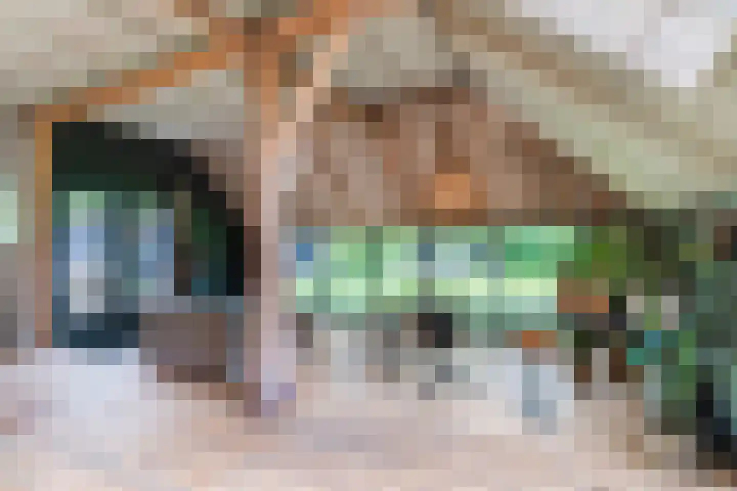 Lariestraat 17 Heeswijk-Dinther thumbnail 13