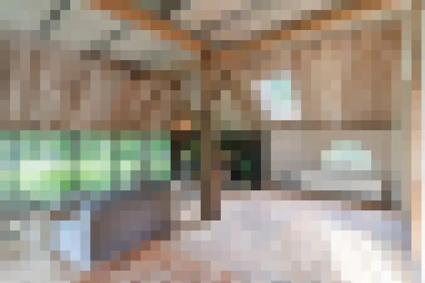 Lariestraat 17 Heeswijk-Dinther thumbnail 14
