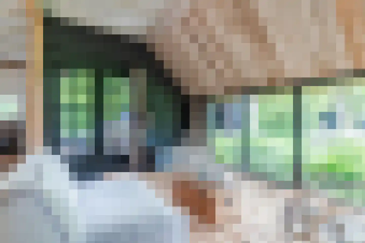 Lariestraat 17 Heeswijk-Dinther thumbnail 15