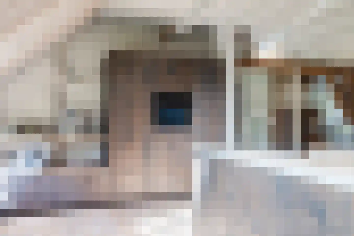 Lariestraat 17 Heeswijk-Dinther thumbnail 18
