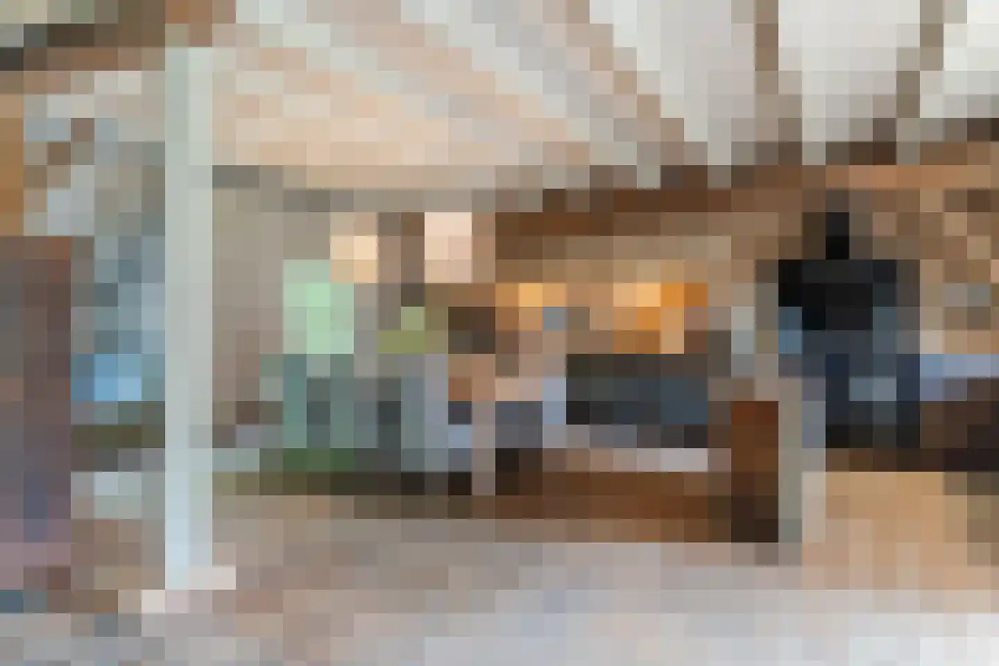 Lariestraat 17 Heeswijk-Dinther thumbnail 19
