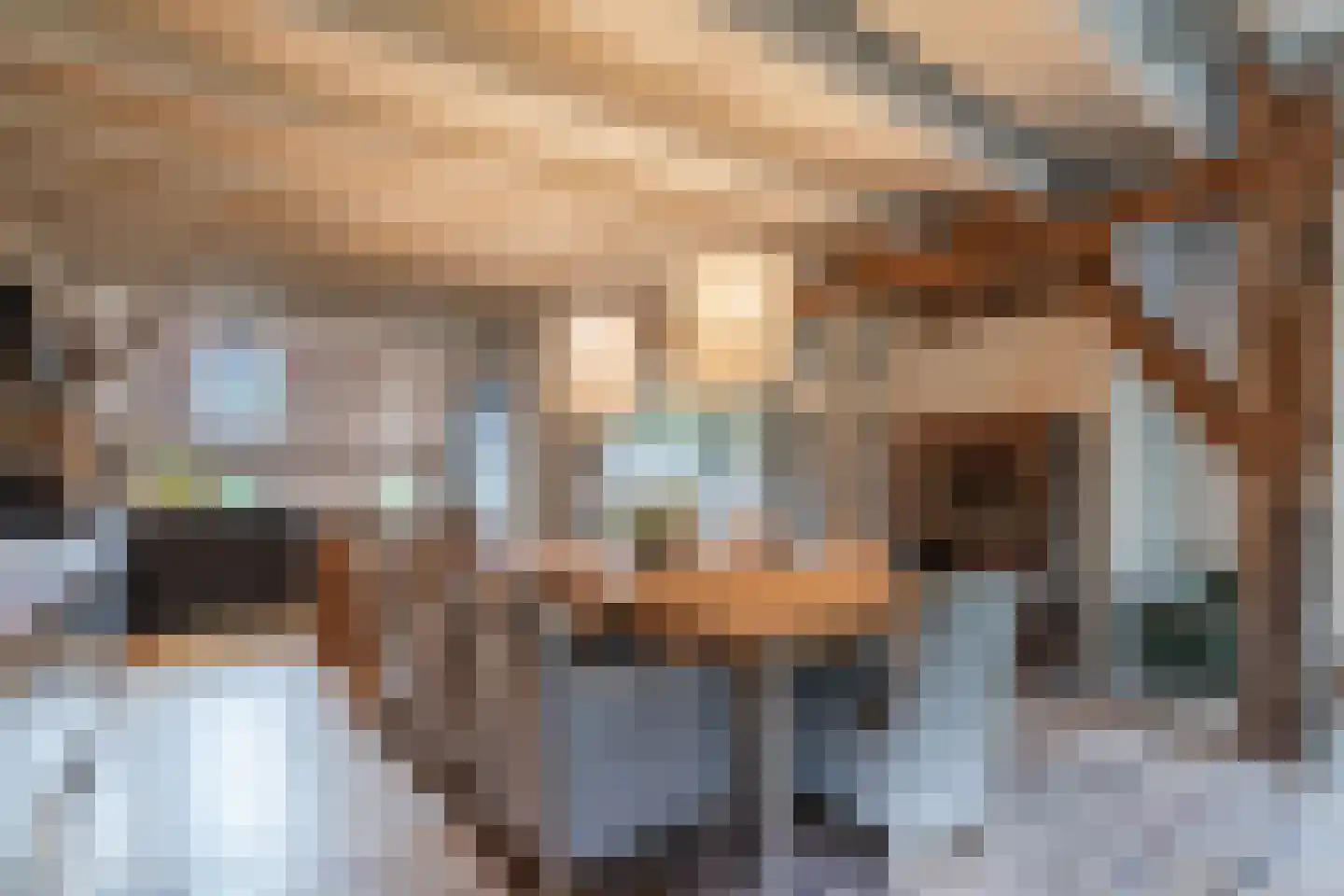 Lariestraat 17 Heeswijk-Dinther thumbnail 21