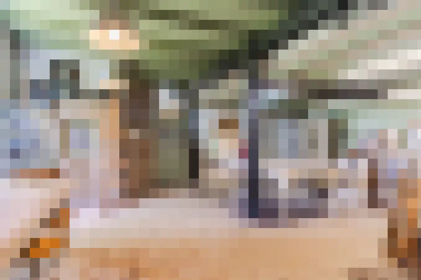 Lariestraat 17 Heeswijk-Dinther thumbnail 26