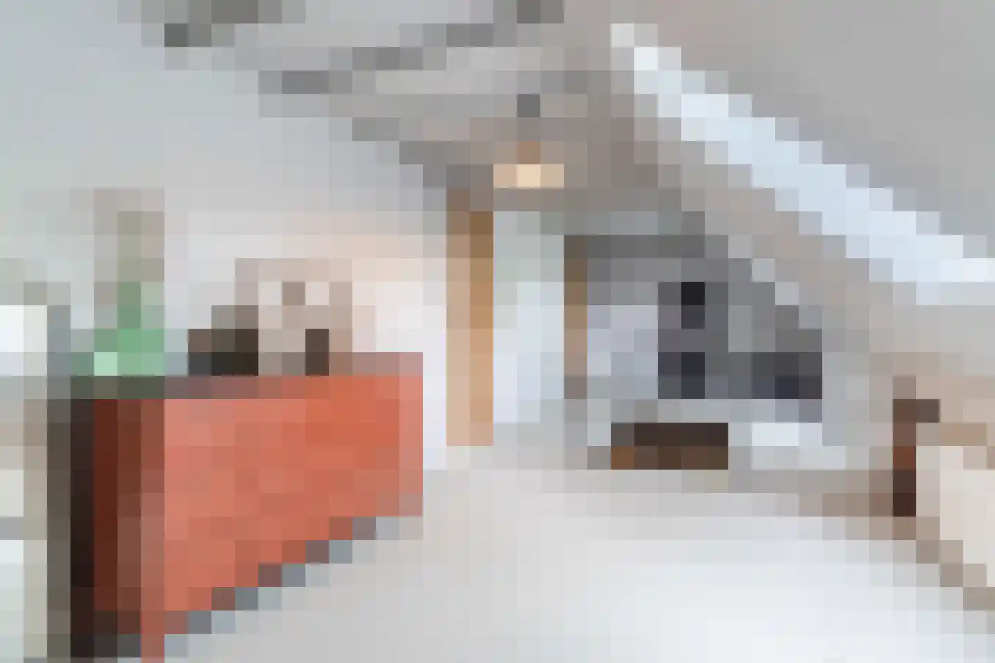 Lariestraat 17 Heeswijk-Dinther thumbnail 31