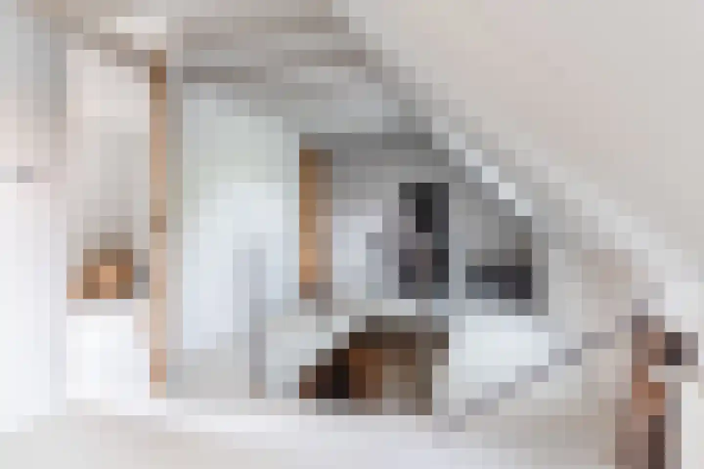 Lariestraat 17 Heeswijk-Dinther thumbnail 32
