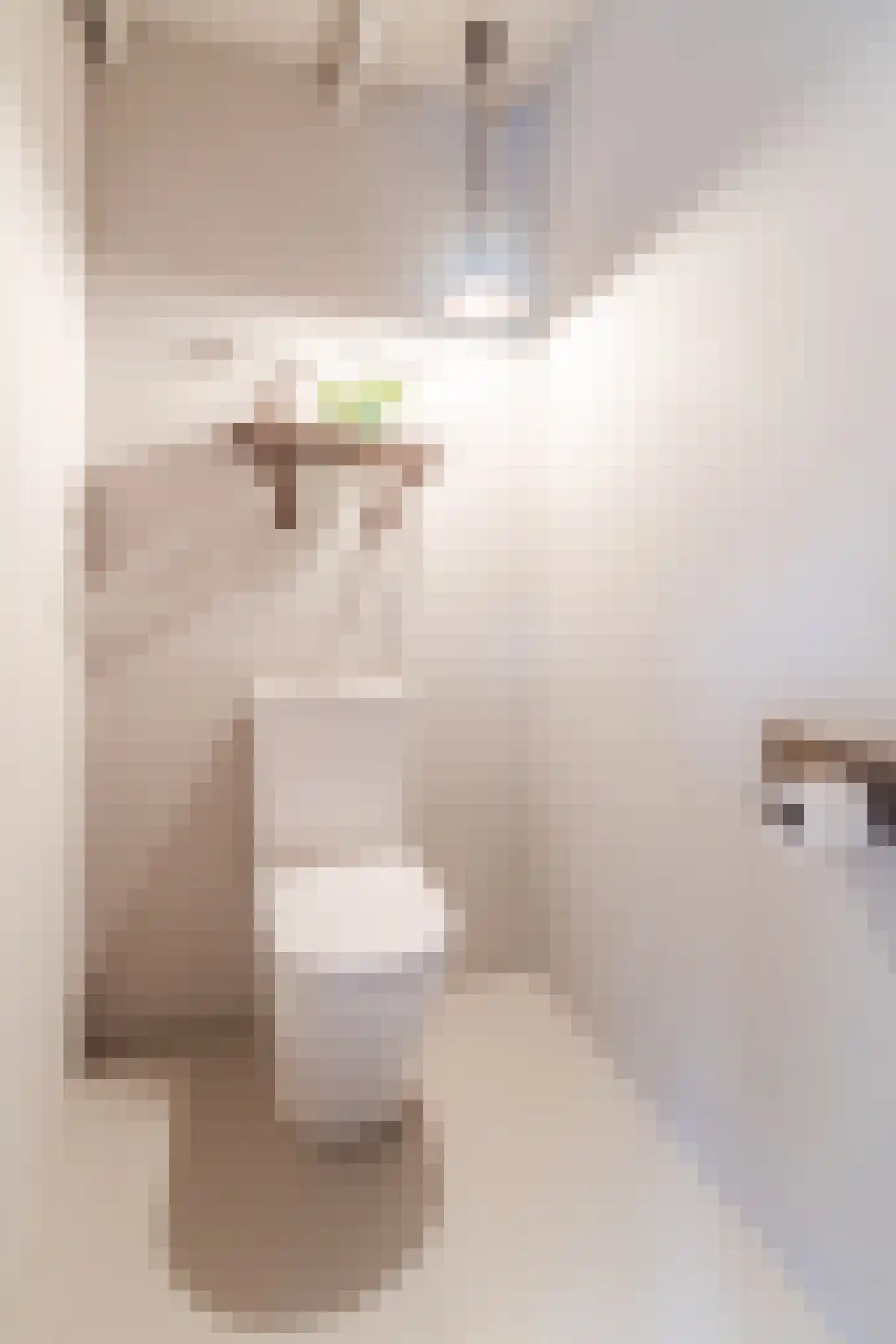 Lariestraat 17 Heeswijk-Dinther thumbnail 33