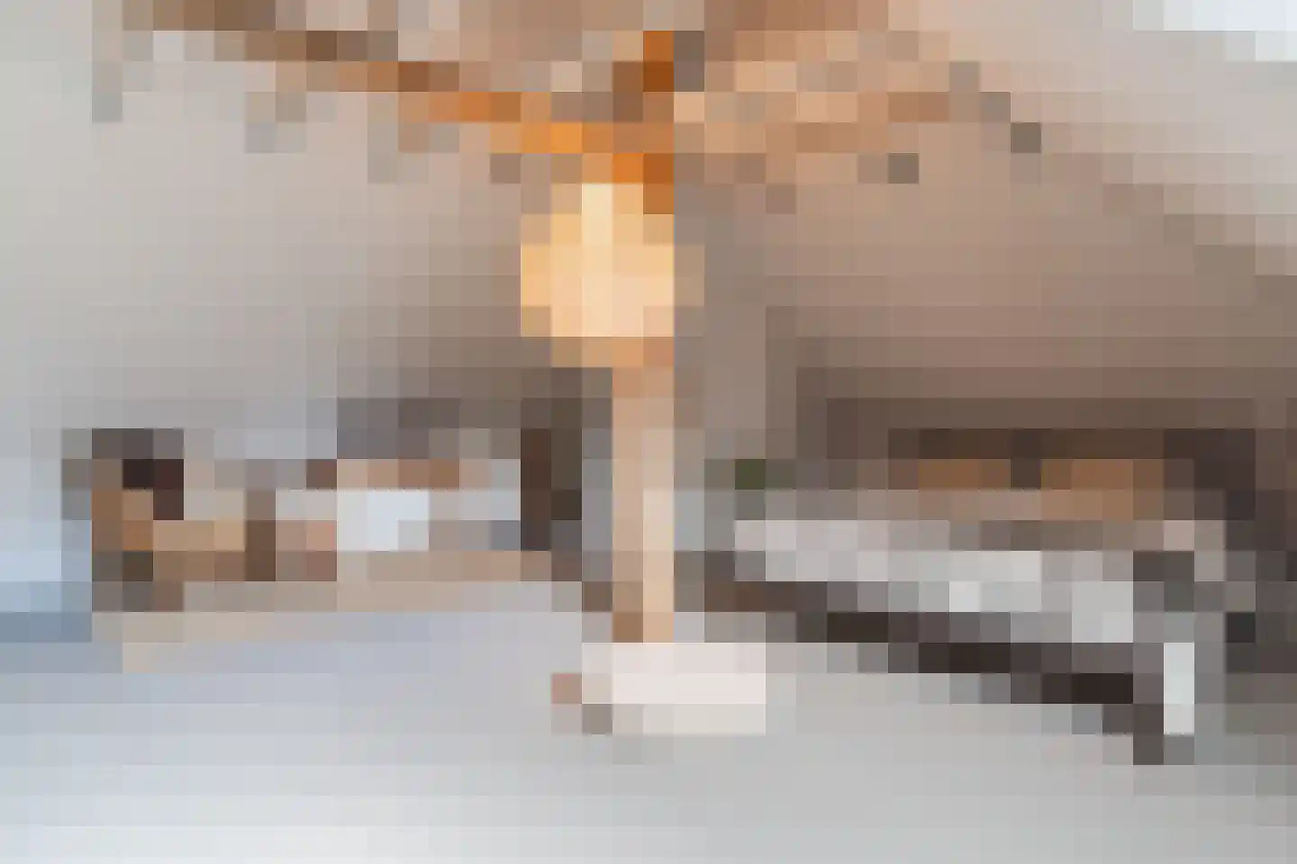 Lariestraat 17 Heeswijk-Dinther thumbnail 35