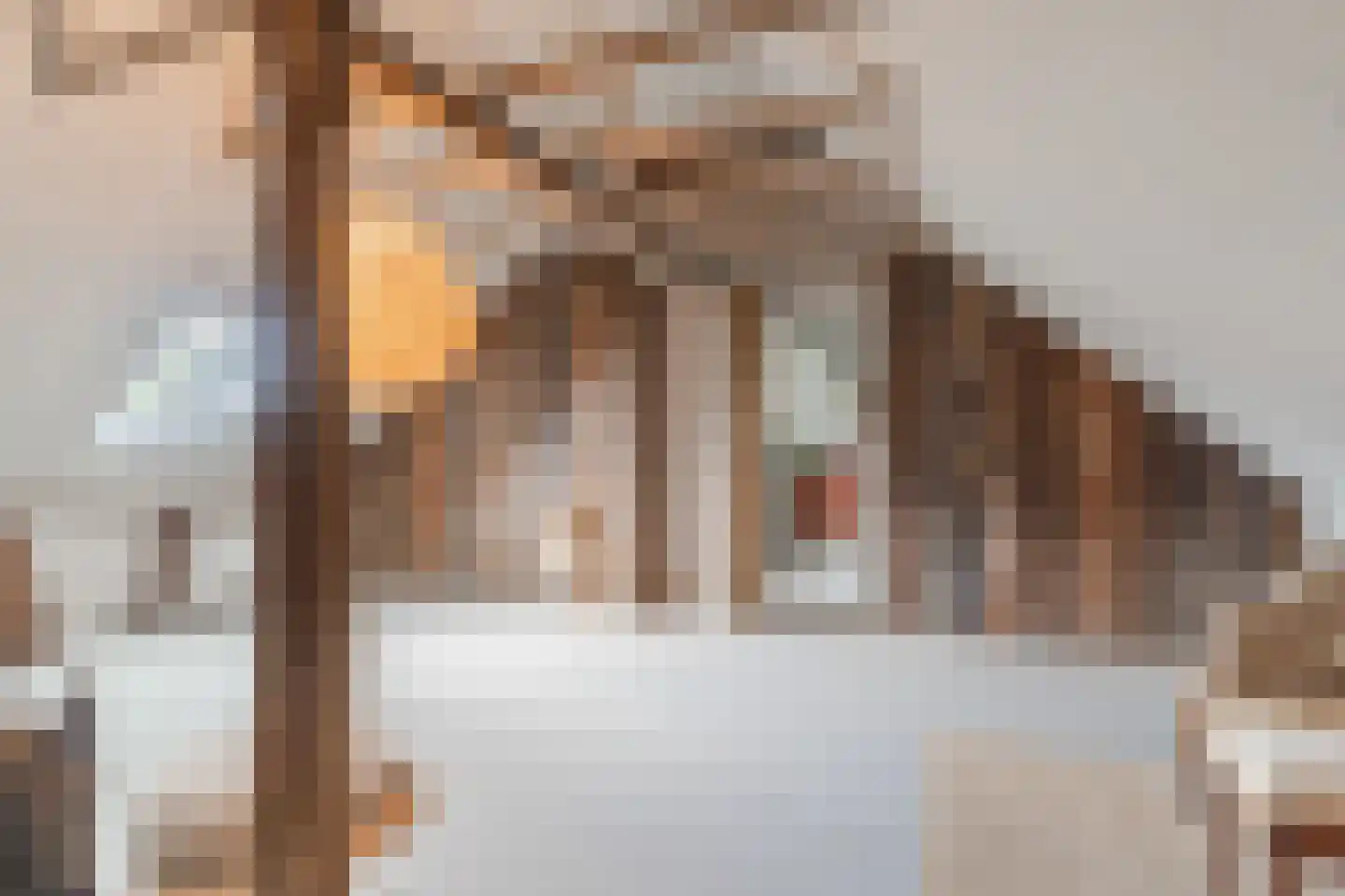 Lariestraat 17 Heeswijk-Dinther thumbnail 36