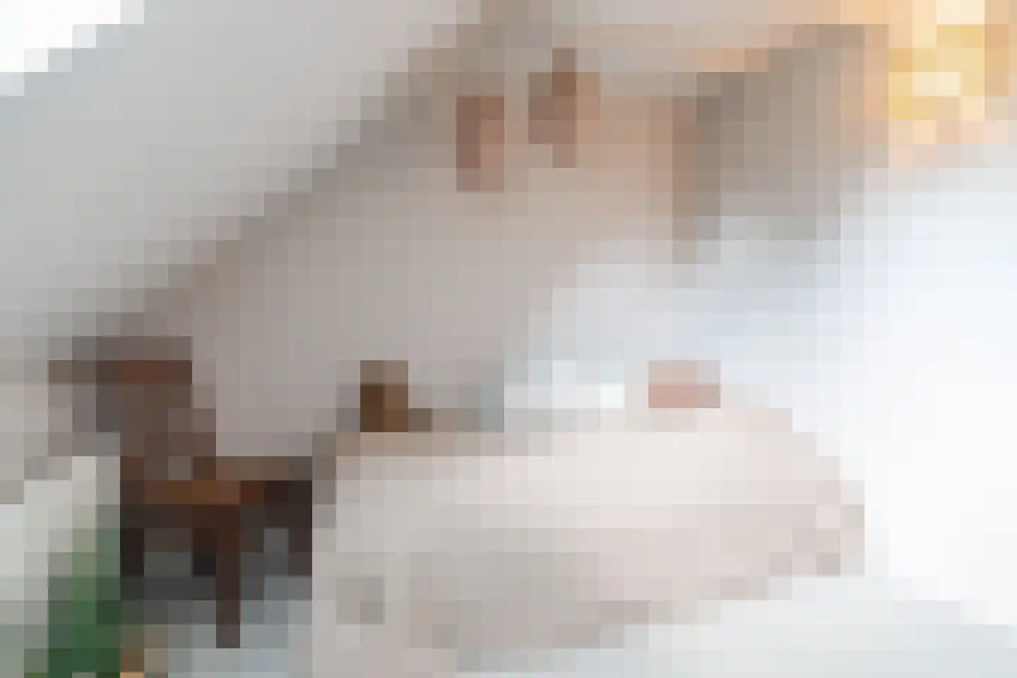 Lariestraat 17 Heeswijk-Dinther thumbnail 38
