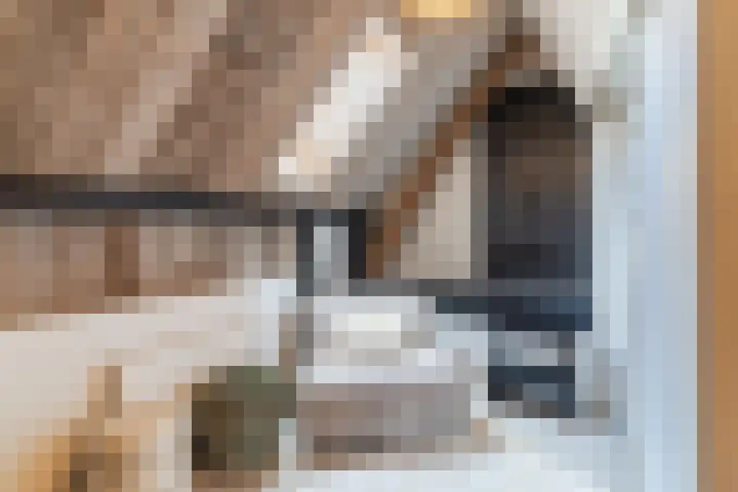 Lariestraat 17 Heeswijk-Dinther thumbnail 39
