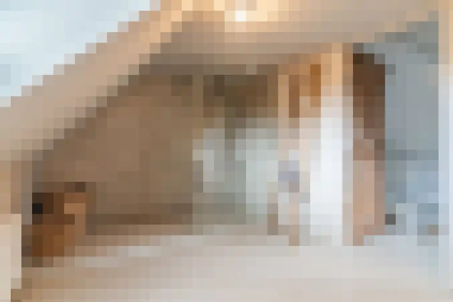 Lariestraat 17 Heeswijk-Dinther thumbnail 44
