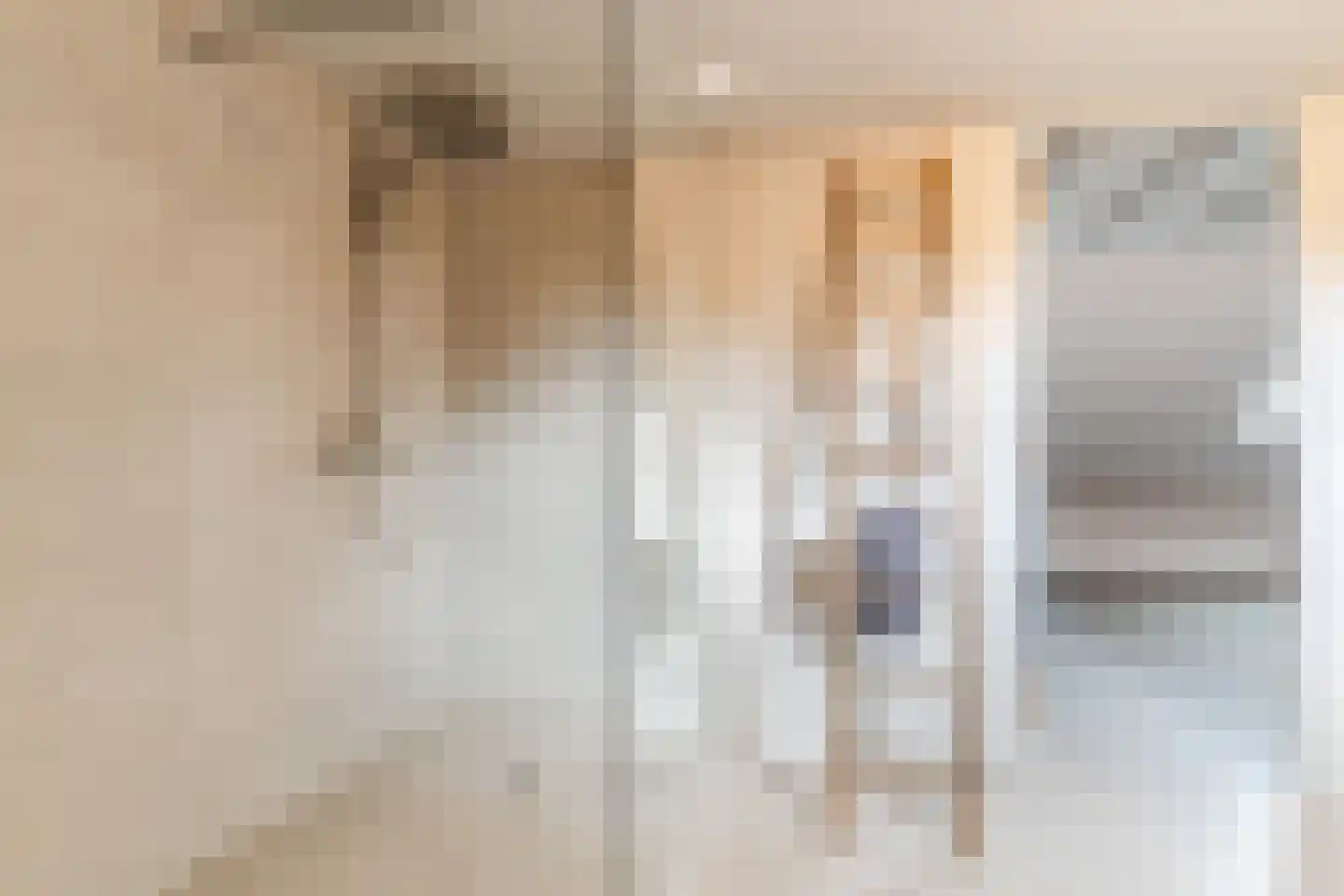 Lariestraat 17 Heeswijk-Dinther thumbnail 45