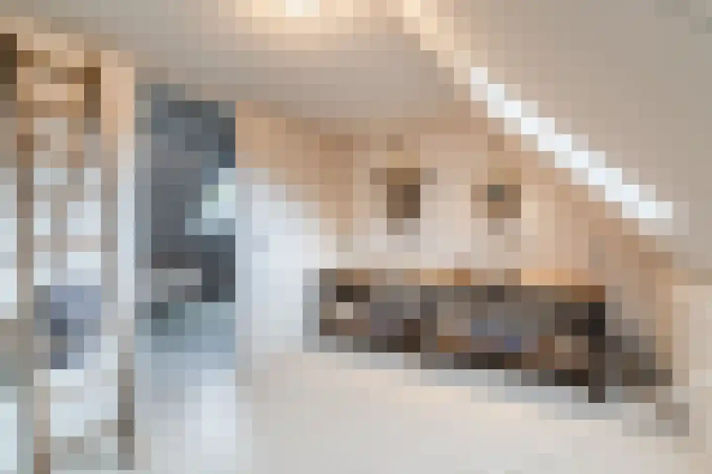 Lariestraat 17 Heeswijk-Dinther thumbnail 47