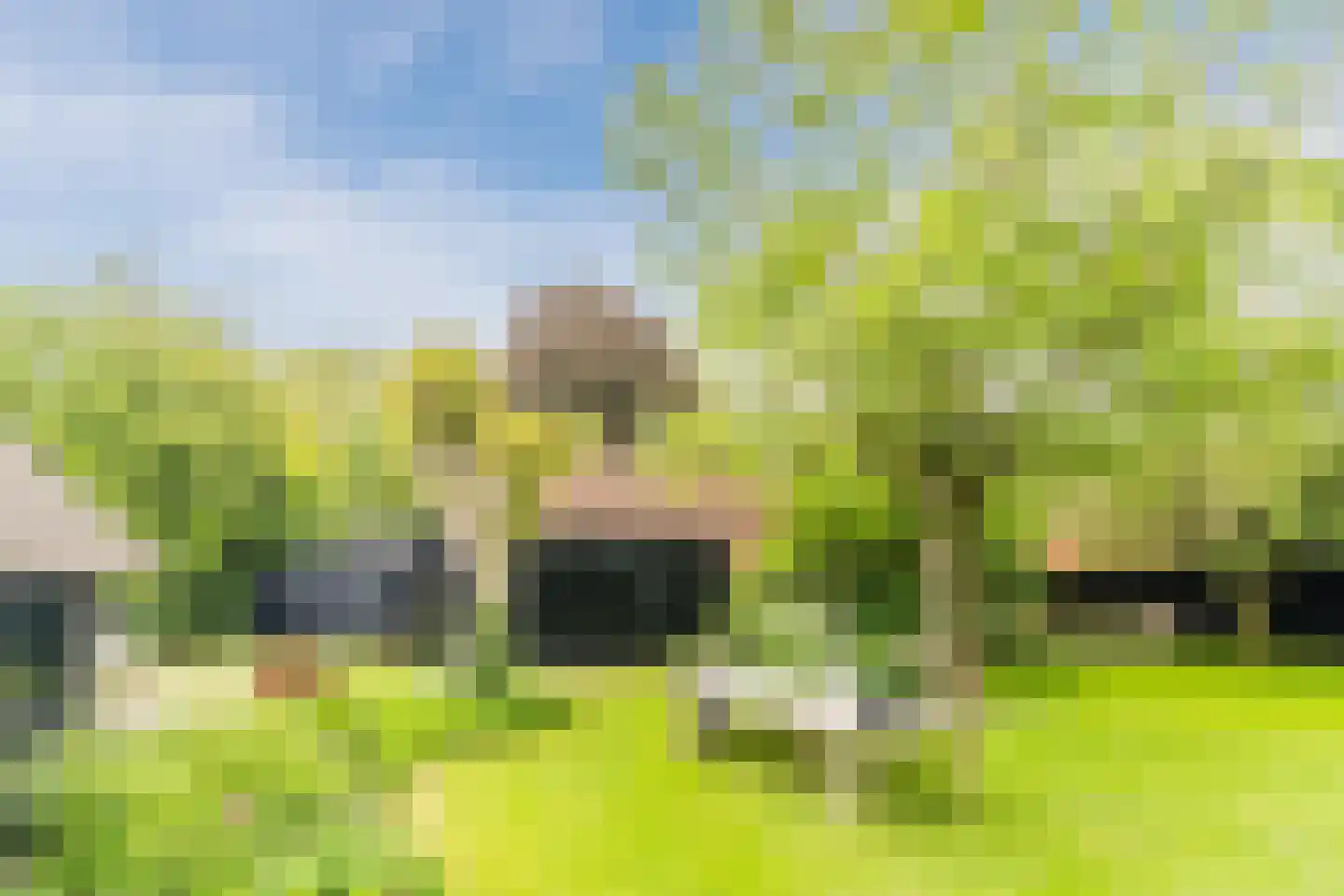 Lariestraat 17 Heeswijk-Dinther thumbnail 50