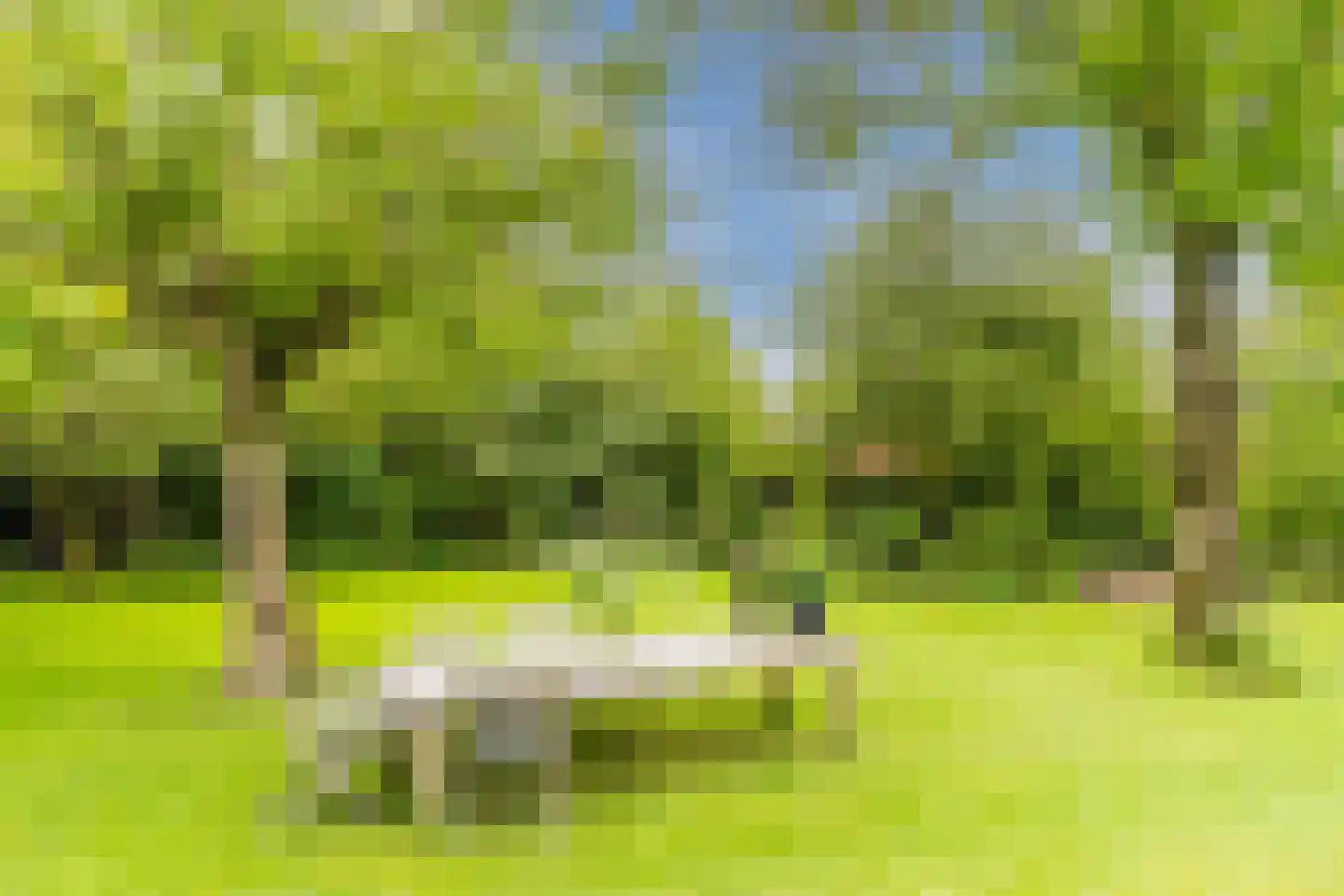 Lariestraat 17 Heeswijk-Dinther thumbnail 51